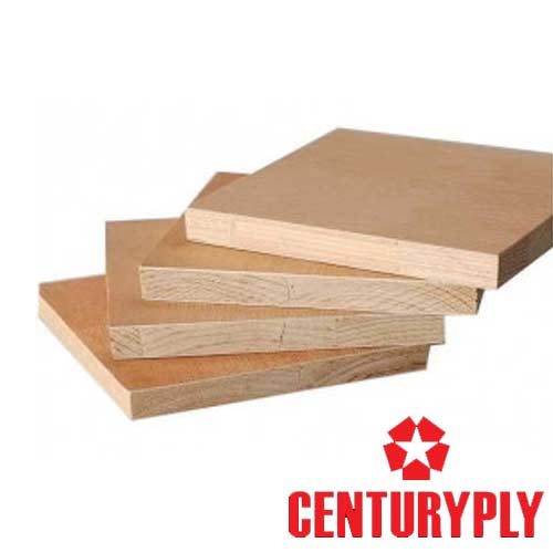 Century Sainik PF Blockboard
